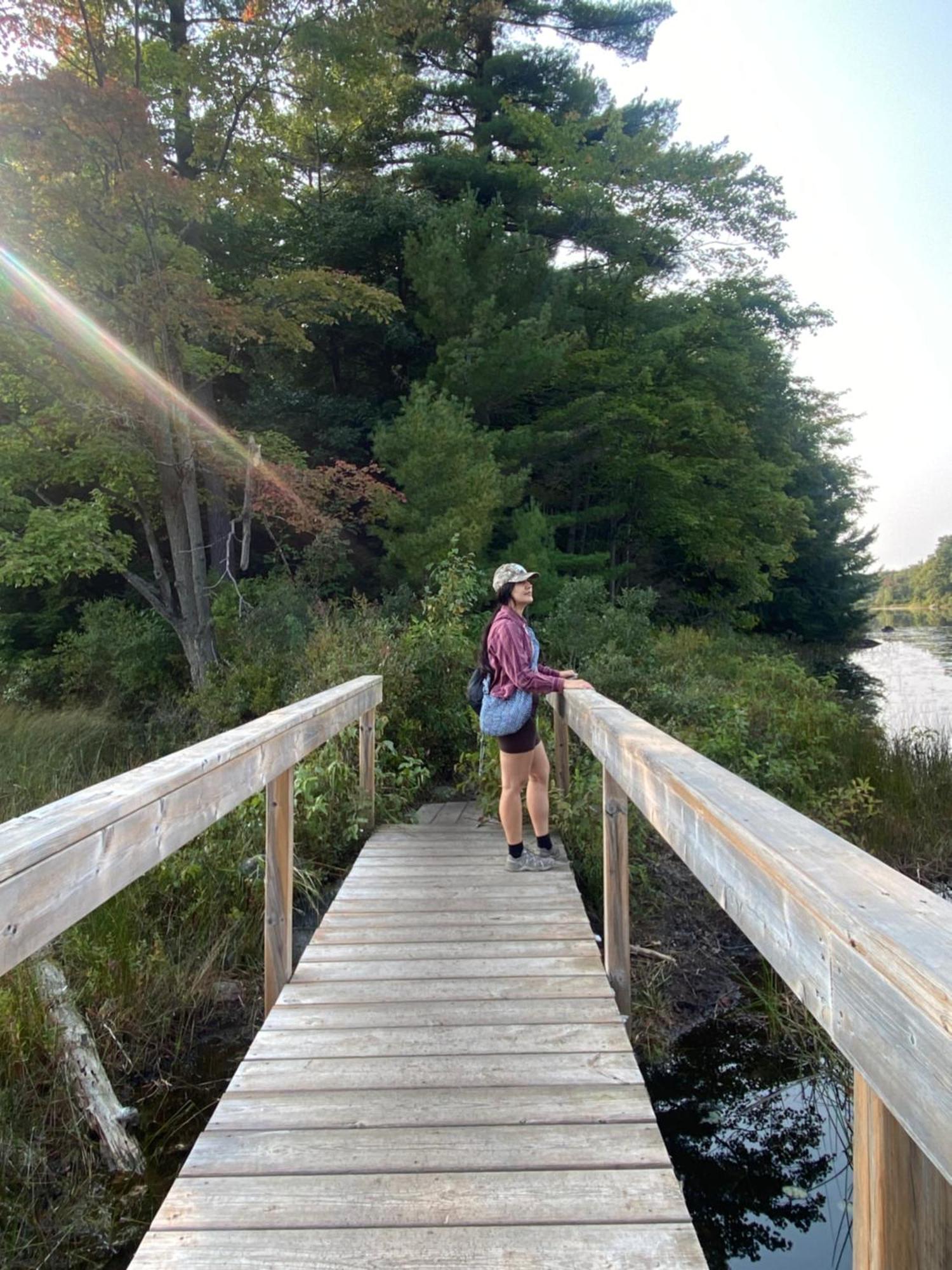 Blue Spruce Bed And Breakfast Muskoka Грейвенхерст Экстерьер фото