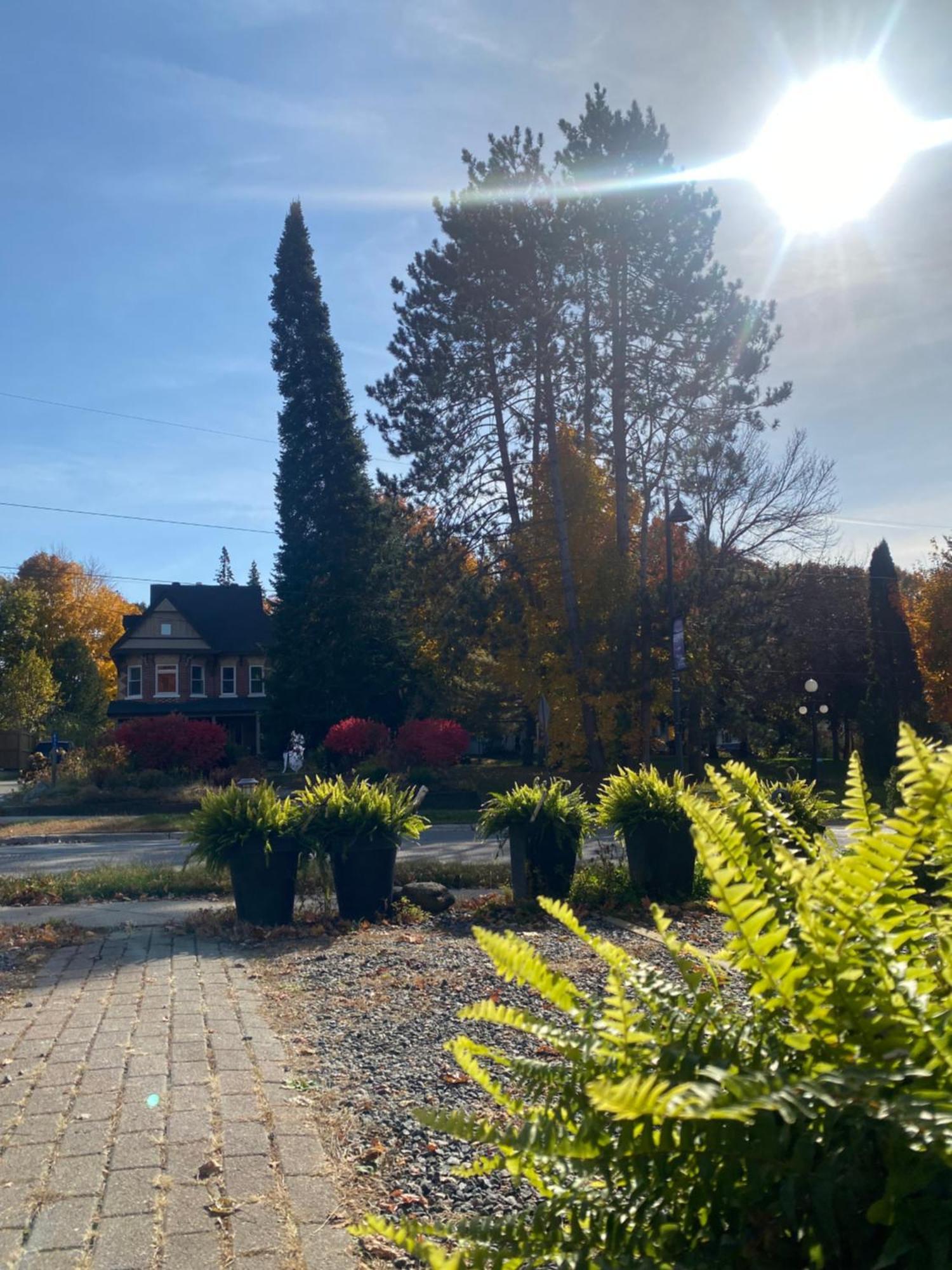Blue Spruce Bed And Breakfast Muskoka Грейвенхерст Экстерьер фото