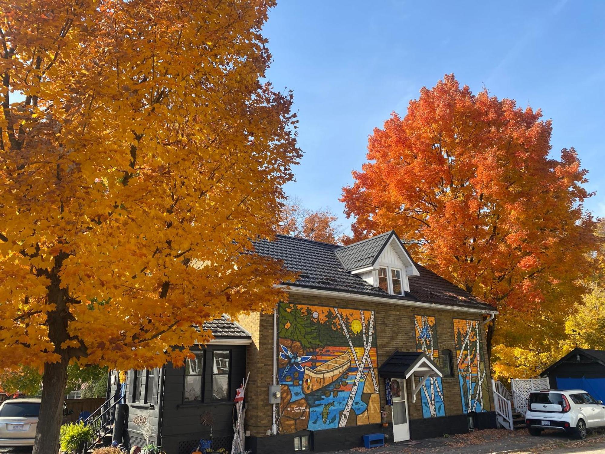 Blue Spruce Bed And Breakfast Muskoka Грейвенхерст Экстерьер фото